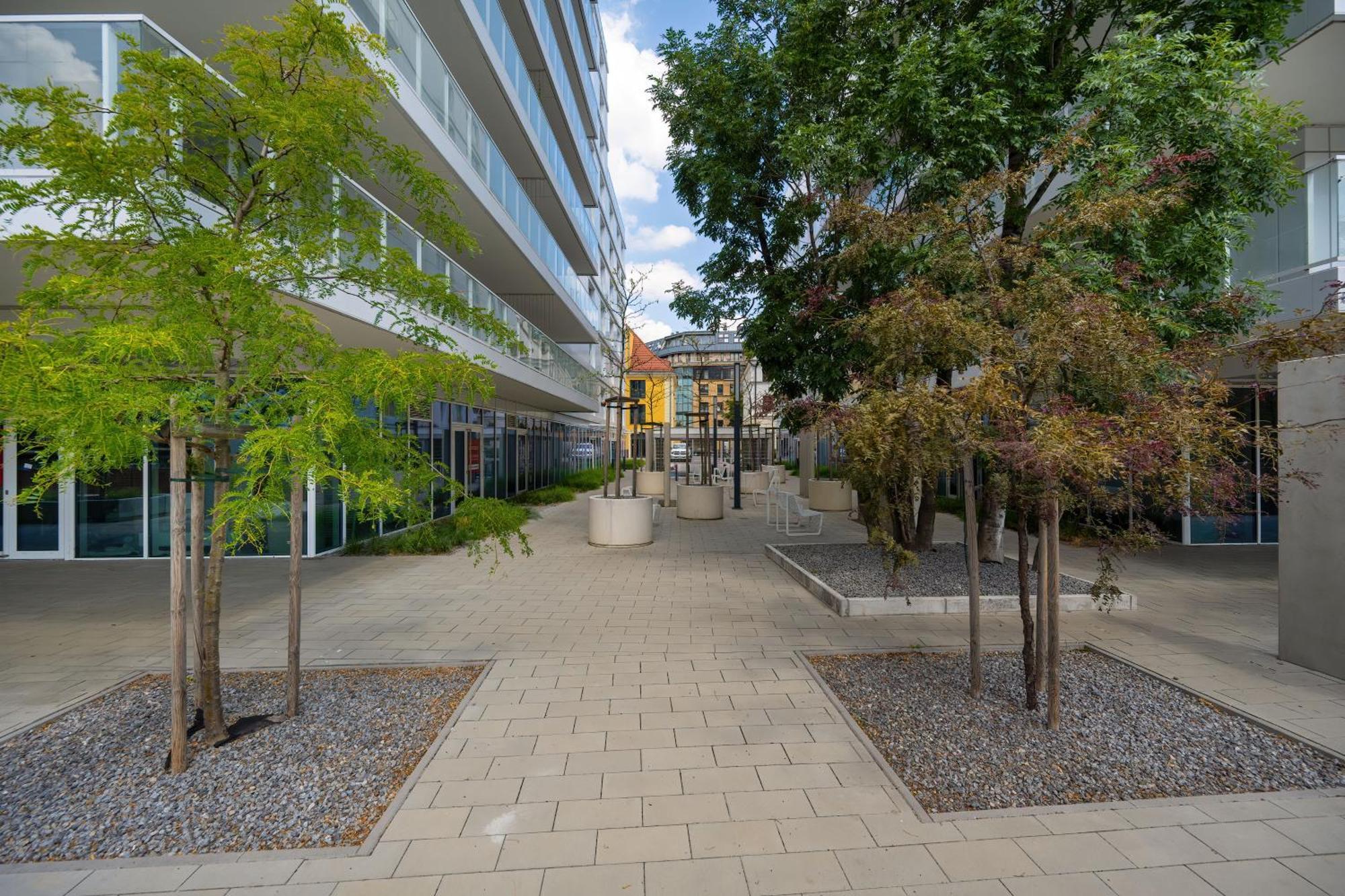 Elegancki Apartament Z Parkingiem Blisko Starego Miasta By Noclegi Renters Wroclaw Ngoại thất bức ảnh